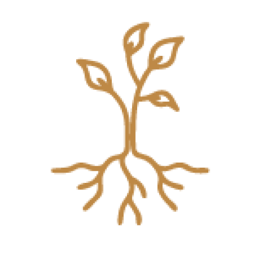 roots-icon